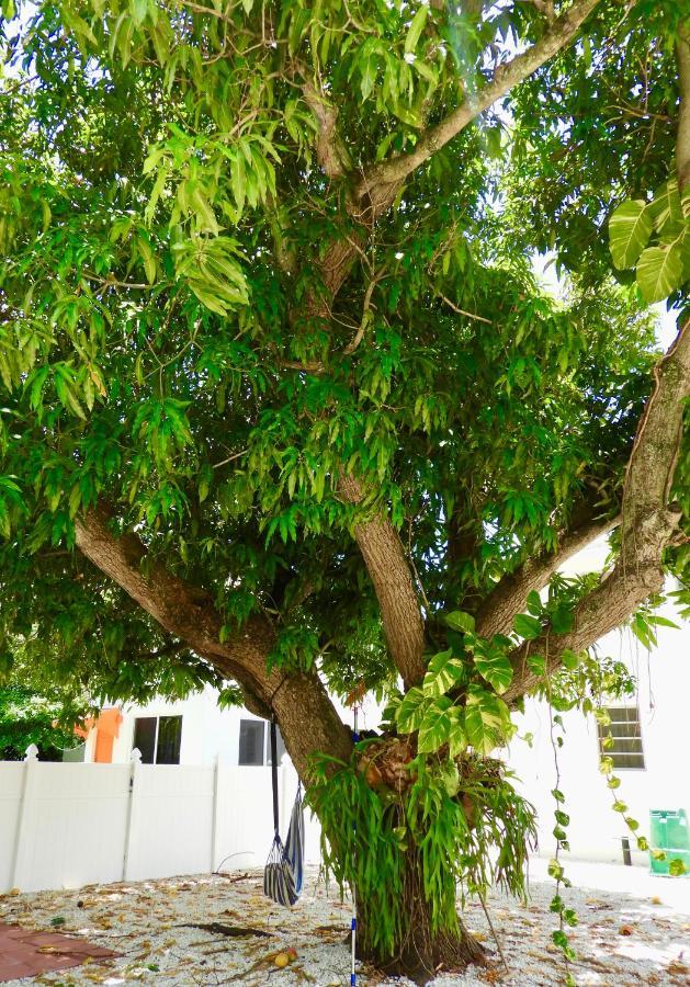 Enchanting Cozy Apartment 10 Min Away From Airport, Calle 8, Brickell, Coral Gables, The Beach And More! Miami Esterno foto